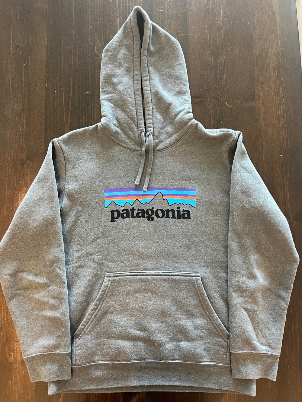 Patagonia Gray P-6 Logo Hoodie
